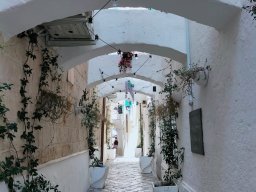 Monopoli