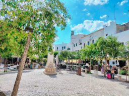 Monopoli